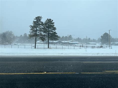 Flagstaff Snow Totals 2024 - Rois Vivien