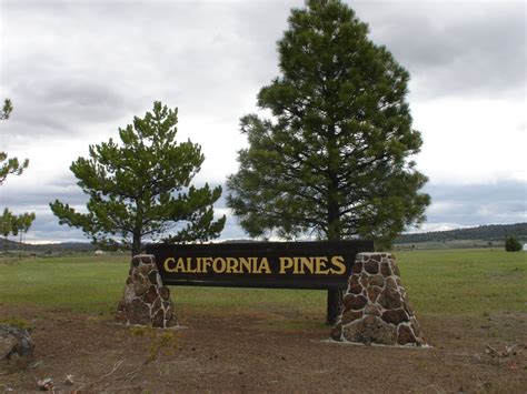 California Pines - Classic Country Land