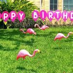 Birthday Flamingos Meme Generator - Imgflip