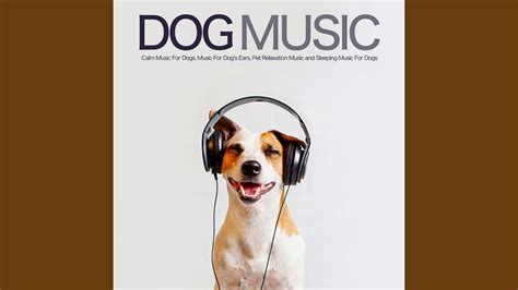 Soothing Dog Music - YouTube