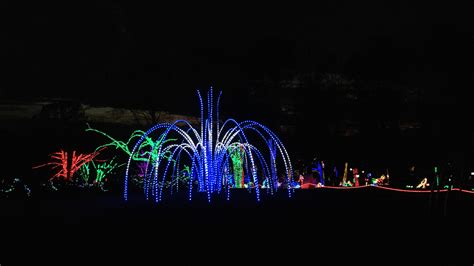 Meadowlark Botanical Gardens Winter Walk of Lights - Adventures in DC