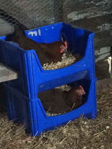 Nesting boxes from plastic bins. Girls seem to love it!, #Bins #Boxes #diygardenboxchickenc ...