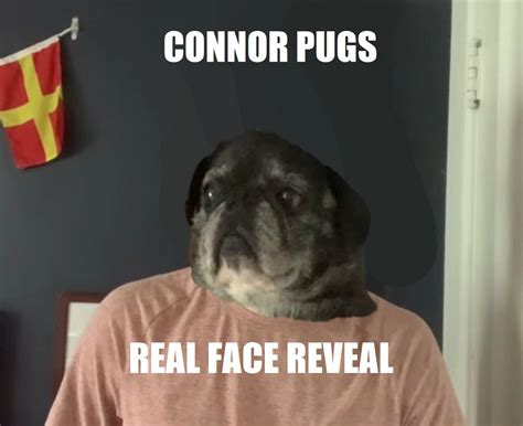 Connor pugs face reveal : r/ConnorPugs