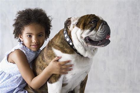 Best Small Dog Breeds For Kids