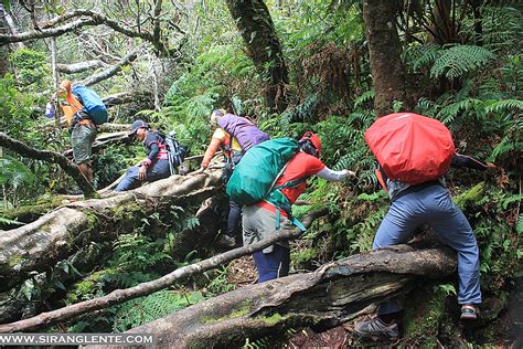 SIRANG LENTE: MT. APO: hiking itinerary and a collection of photos of our journey to the summit.