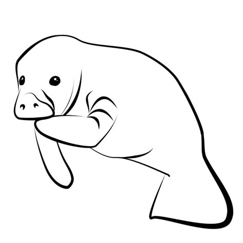 Manatee clip art 4 - WikiClipArt