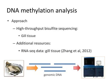 PPT - DNA methylation analysis PowerPoint Presentation, free download ...