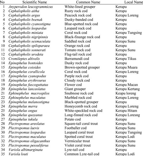 Checklist of grouper species at Kotania Bay waters | Download Table