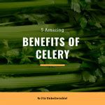 5 Amazing Benefits Of Celery, № 3 Is Unbelievable!