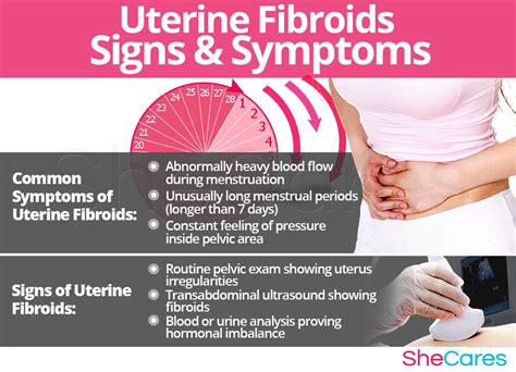 Uterine Fibroids | SheCares