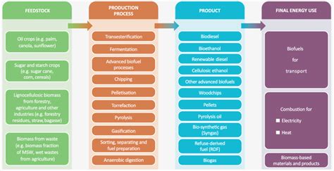 Bioenergy, a sustainable solution | Bioenergy