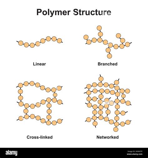 Classification Of Polymers Polymers And Its Types Vector Illustration | Hot Sex Picture