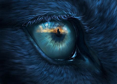 Wolf Eye Digital Art by Bernadett Kovacs