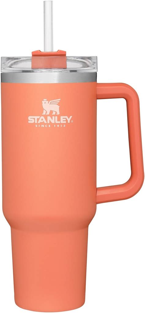 Is The Stanley Quencher Cup Worth It? Price, Review & More