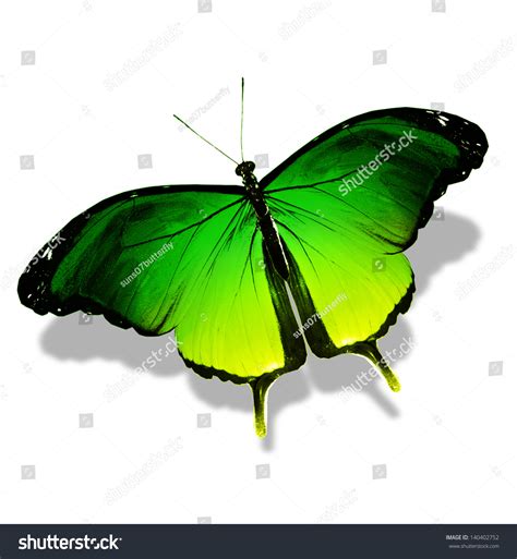 Green Bright Butterfly, Isolated On White Stock Photo 140402752 ...