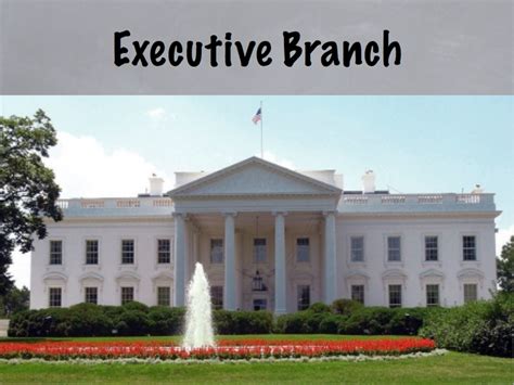 U.S. Executive Branch | Curious.com