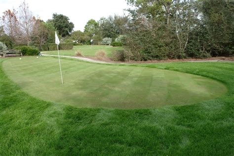 11 DIY Backyard Putting Green Kits - Our Blue Ridge House