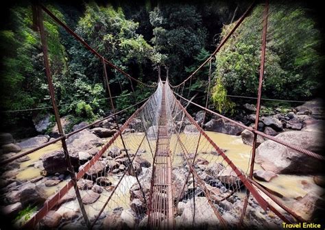 Double Decker Root Bridge – An Awesome Trekking Experience into the ...