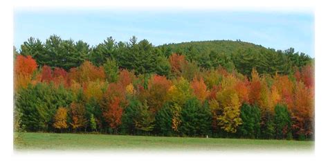 Fall Foliage and Leaf Peeping Around Lake Winnipesaukee in New Hampshire