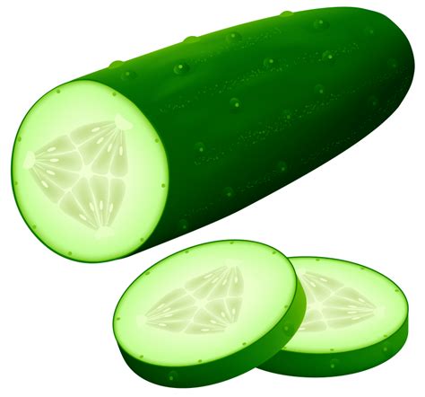 Cucumber clipart fresh, Cucumber fresh Transparent FREE for download on WebStockReview 2024