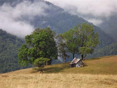 Romania-Paltinis | Sibiu romania, Country roads, Country life