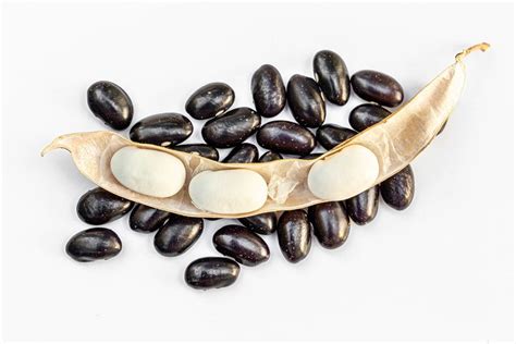 White beans with black beans on white background - Creative Commons Bilder