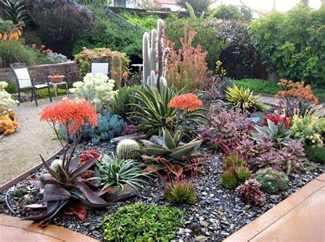 32 Incredible Cactus Garden Landscaping Ideas Best For Summer - MAGZHOUSE