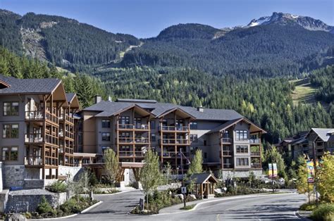 Whistler Dog-Friendly Guide: Everything You Need to Know