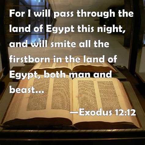 Exodus 12:12 For I will pass through the land of Egypt this night, and ...