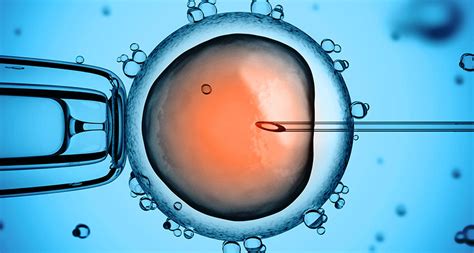 Gene editing of human embryos yields early results