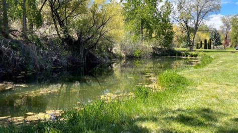 Idaho Fish and Game stocks new pond in Twin Falls, Idaho | ktvb.com