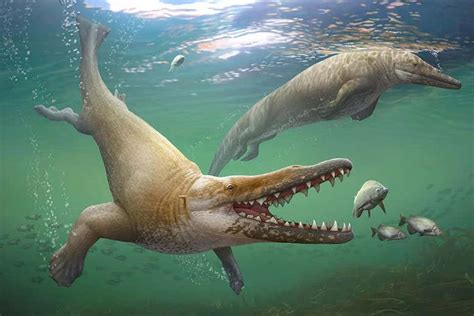 About 42 million years ago, primitive whales with huge arms and legs were swimming around in ...