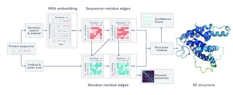 AlphaFold 2 Explained: A Semi-Deep Dive