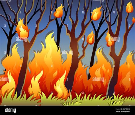 Trees in forest on fire Stock Vector Image & Art - Alamy