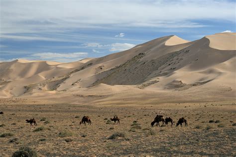 Mongolia Wallpaper - WallpaperSafari