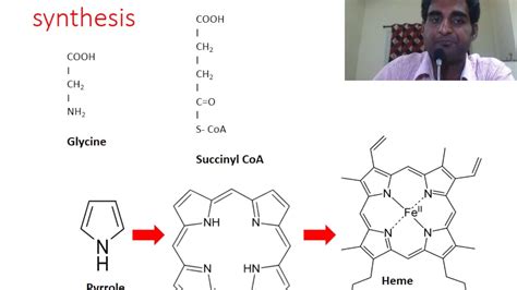 3-minute lesson - Biochemistry: Heme synthesis - YouTube