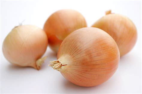 File:Onions.jpg - Wikipedia