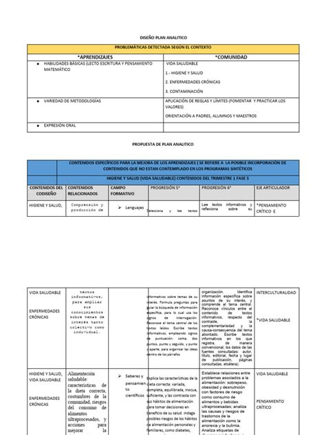 PLAN ANALITICO Proyecto 6to | PDF