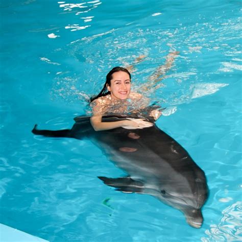 Swim With Dolphins Dubai - Dubai | Project Expedition