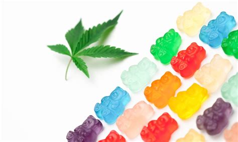 Sativa Vs. Indica Marijuana Edibles: What’s The Difference ...