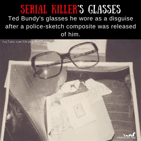 Serial Killer Ted Bundy's Glasses - r/SBTcommunity : r/TrueCrime