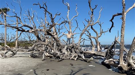 Driftwood Beach | Jekyll Island, Georgia - YouTube