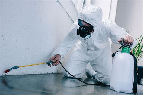 Why is it essential to hire Expert Pest Control services? - Daily Bloger