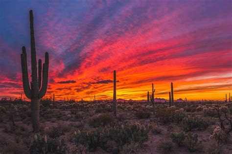 Sonoran Desert Sunset [OC] [2500x1667] | Desert sunset, Desert sunset ...