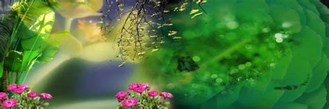 🔥 Green Nature Flex Banner Background Download | CBEditz