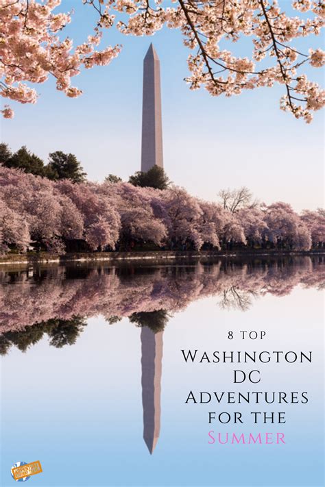 8 Top Washington DC Adventures for the Summer | Washington dc, Adventure, Fun festival