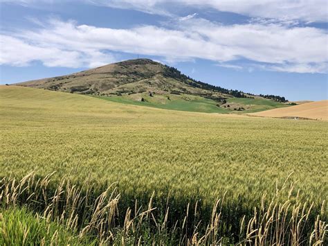 Eastern Washington’s Steptoe Butte park open, after state delays closure | The Seattle Times