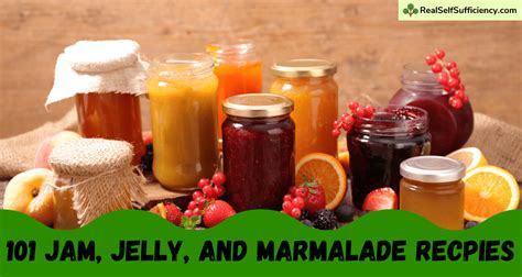 101 Jam, Jelly, and Marmalade Recipes - Real Self-Sufficiency