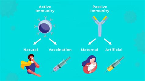 Artificial Passive Immunity Graph - CaitlynilGaines