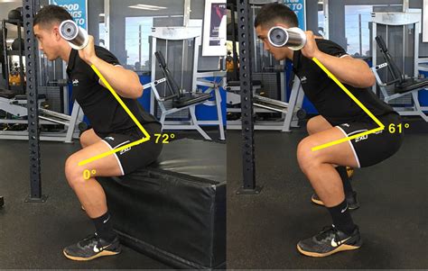 The Box Squat vs. Traditional Squat